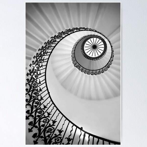 Ammonite Poster