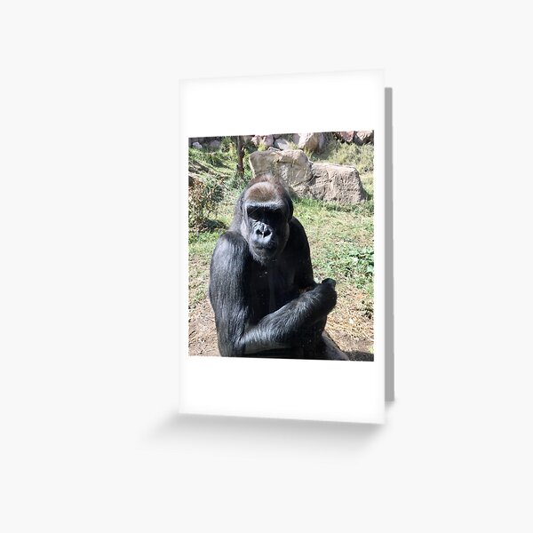 Gorilla closeup Greeting Card