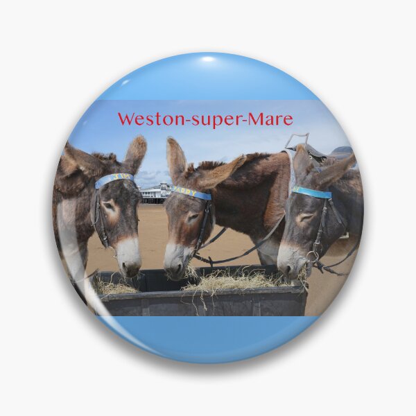 Artikelvorschau, Weston Super Mare Donkeys entworfen und verkauft von Alisonchambers2.