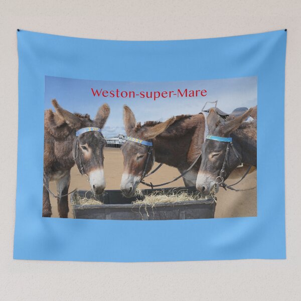 Item preview, Weston super Mare Donkeys designed and sold by Alisonchambers2.