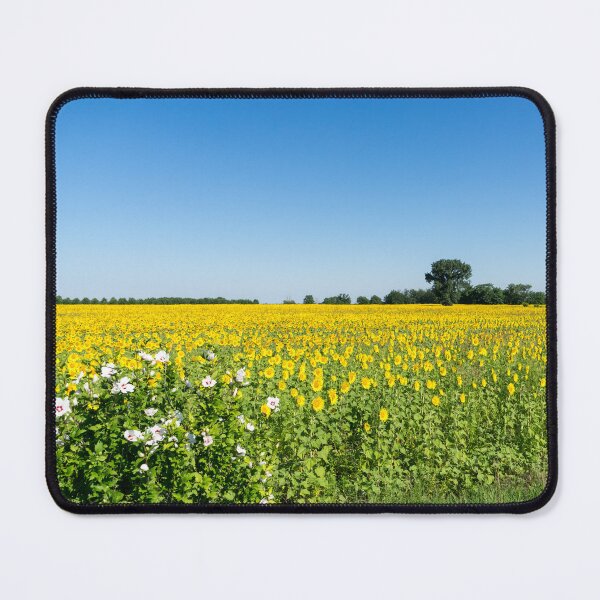 Item preview, Sunflower Field with Rose of Sharon Shrub designed and sold by Georgia Mizuleva.