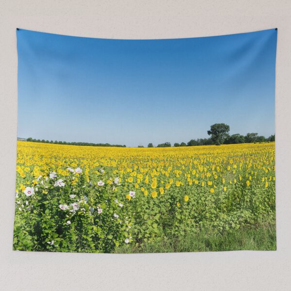 Item preview, Sunflower Field with Rose of Sharon Shrub designed and sold by Georgia Mizuleva.