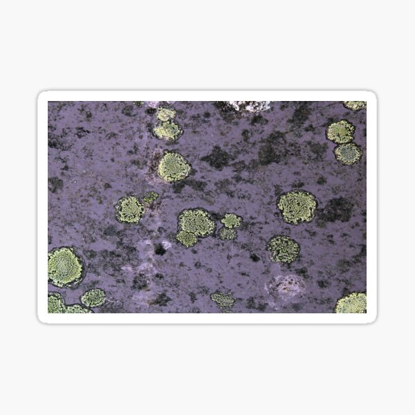 Item preview, lichen designed and sold by KathleenDawson.