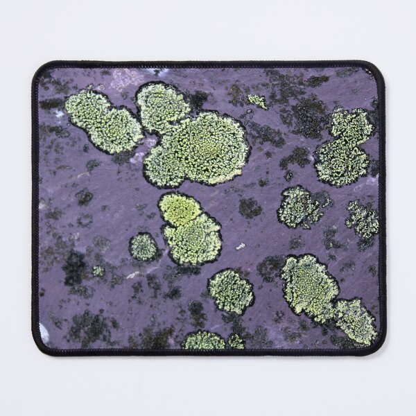 Item preview, lichen designed and sold by KathleenDawson.