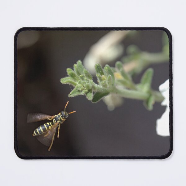 Item preview, Yellow Jacket designed and sold by Soumya Mitra.