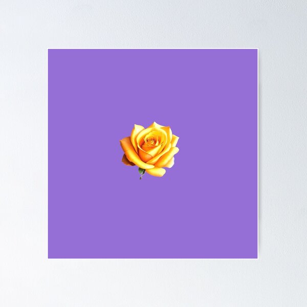 Sunny Yellow Rose on Blue Poster