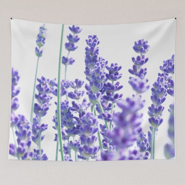 Item preview, Fresh Lavender #1 #decor #art designed and sold by Anita's & Bella's Art.