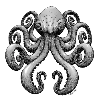 Artwork thumbnail, Octopus by PierreF