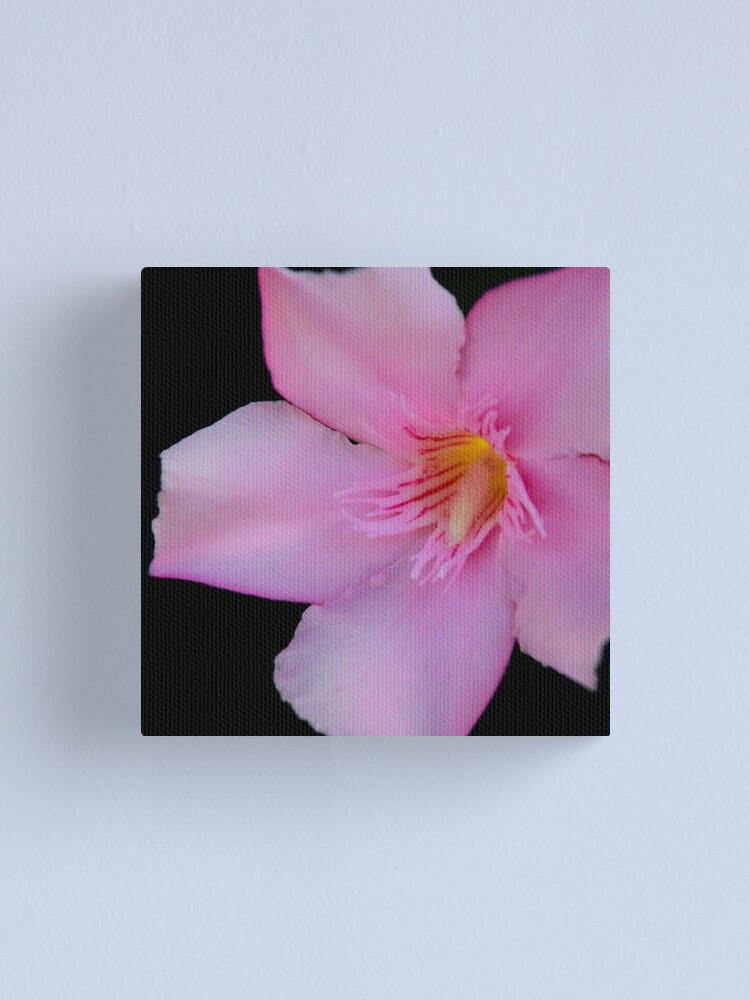 Alternate view of Pink Oleander Canvas Print