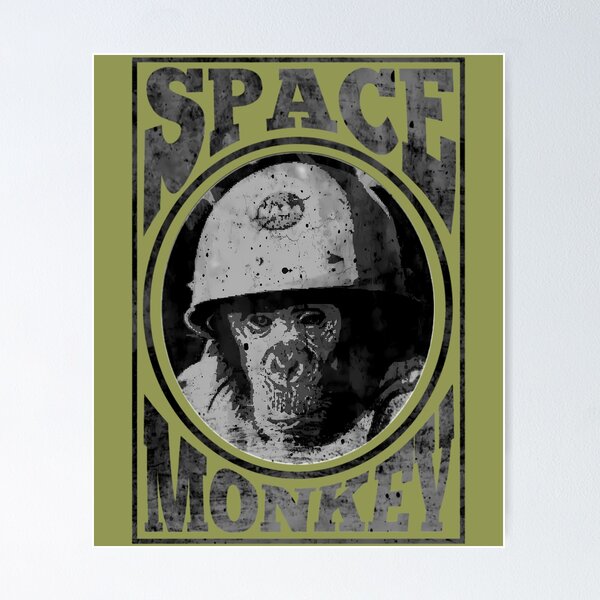 Item preview, Space Monkey Fight Club Reference Movie Quote NASA Astronaut   	 designed and sold by elhuyrkod85.
