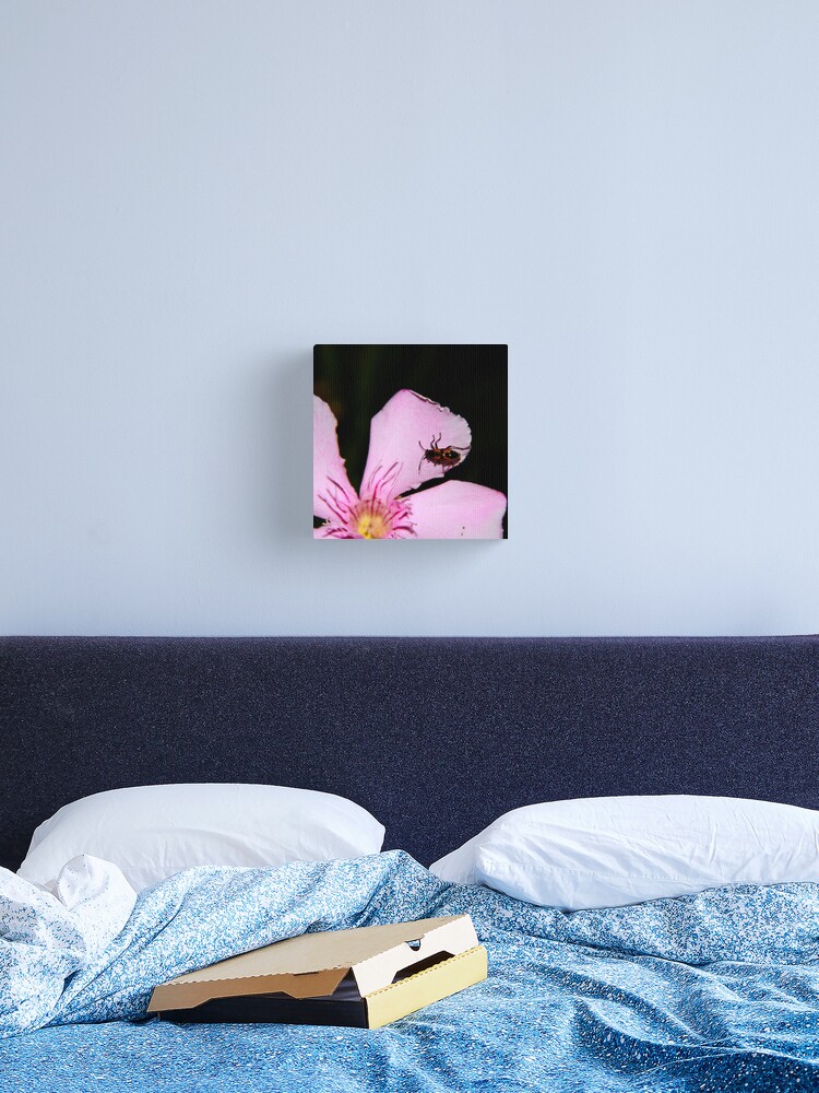 Thumbnail 2 of 3, Canvas Print, Milkweed Bug designed and sold by mistered.