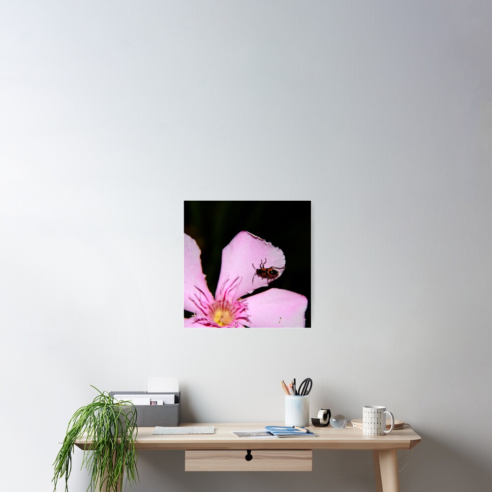 Milkweed Bug Poster