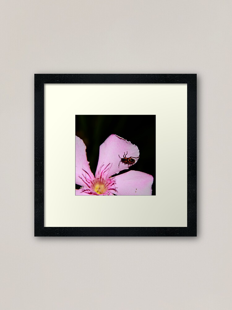 Alternate view of Milkweed Bug Framed Art Print