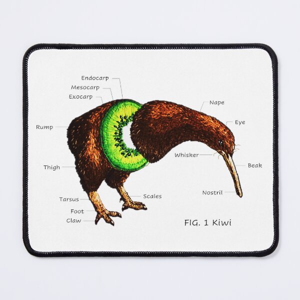 Item preview, Anatomy of a Kiwi designed and sold by Corinne Alexa Jackson.