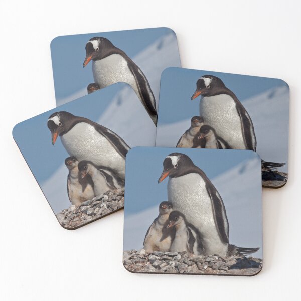 Item preview, Gentoo Greetings from Antarctica designed and sold by Krys Bailey.