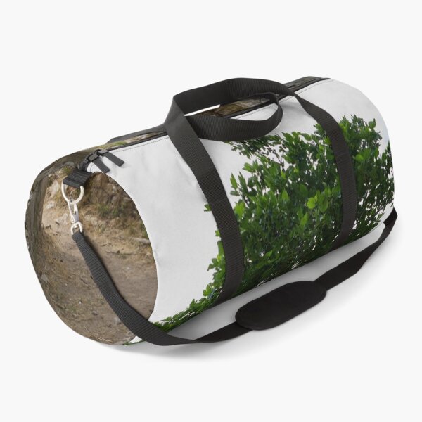 Item preview, The gate. Kefalogourna Waterfalls - Theologos. Thassos 2023 48 designed and sold by Jouko Lehto Photography.
