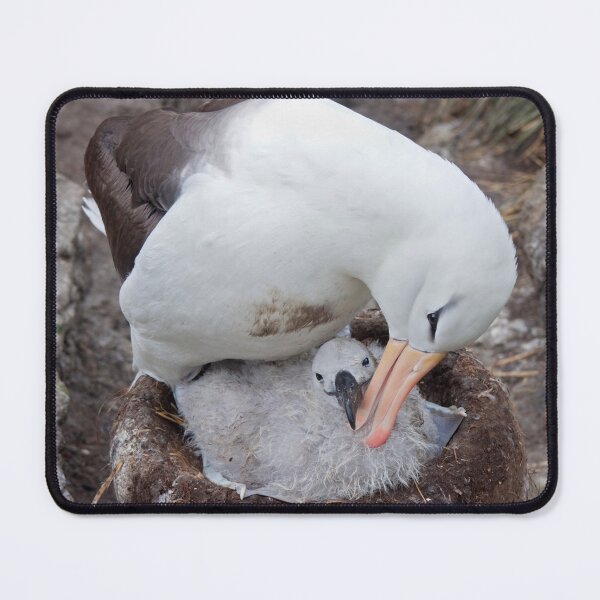 Item preview, My Beautiful Chick designed and sold by Krys Bailey.