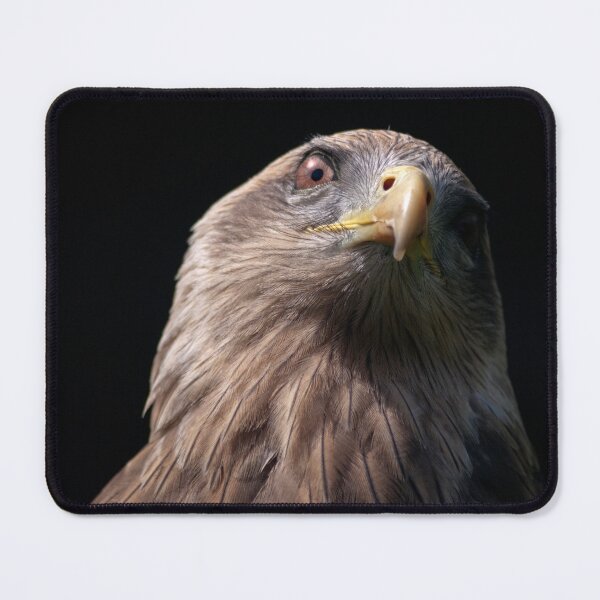 Item preview, African Tawny Eagle designed and sold by Krys Bailey.