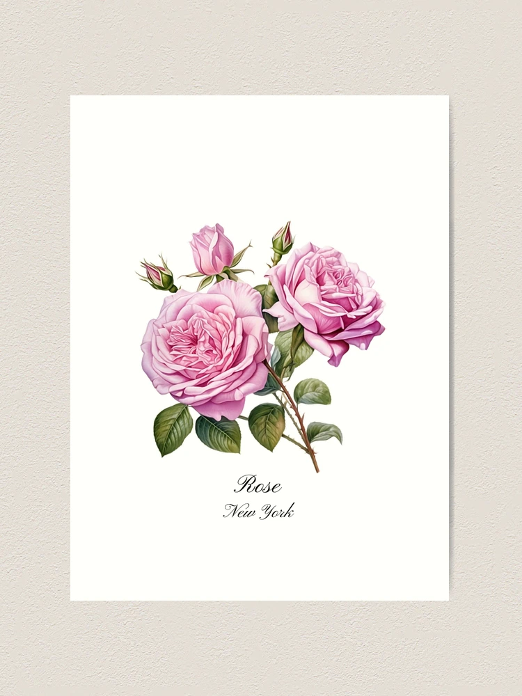 シャンパーニュ・Henriot Rosé アート・イラスト・ポスター