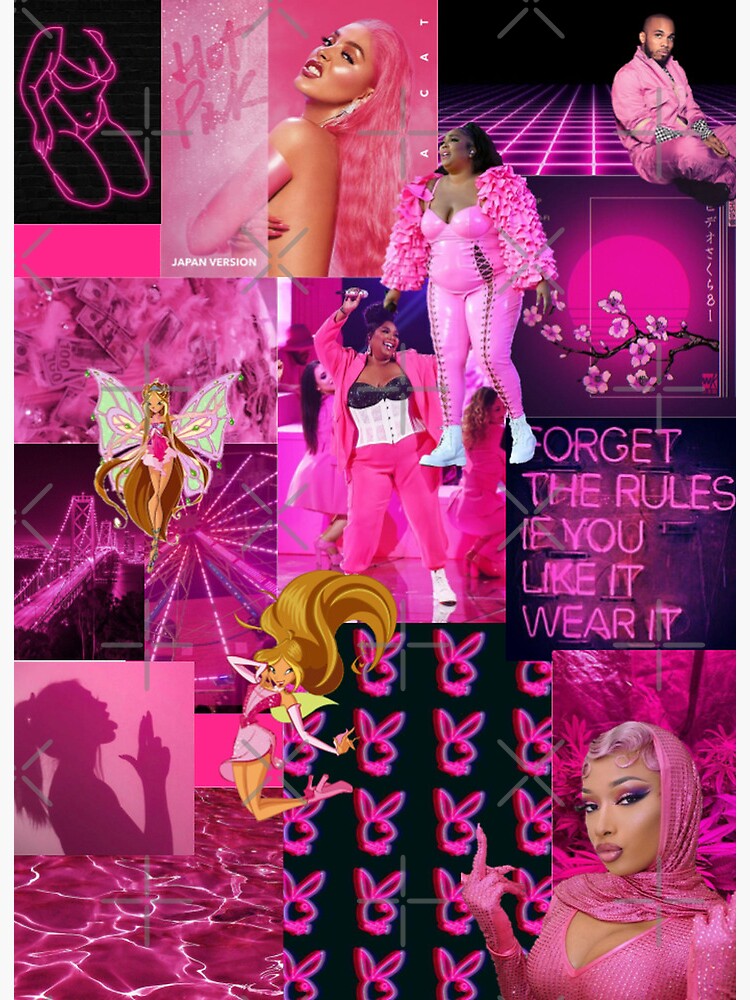 HOT PINK Girl Aesthetic Collage  Poster for Sale by reannyn