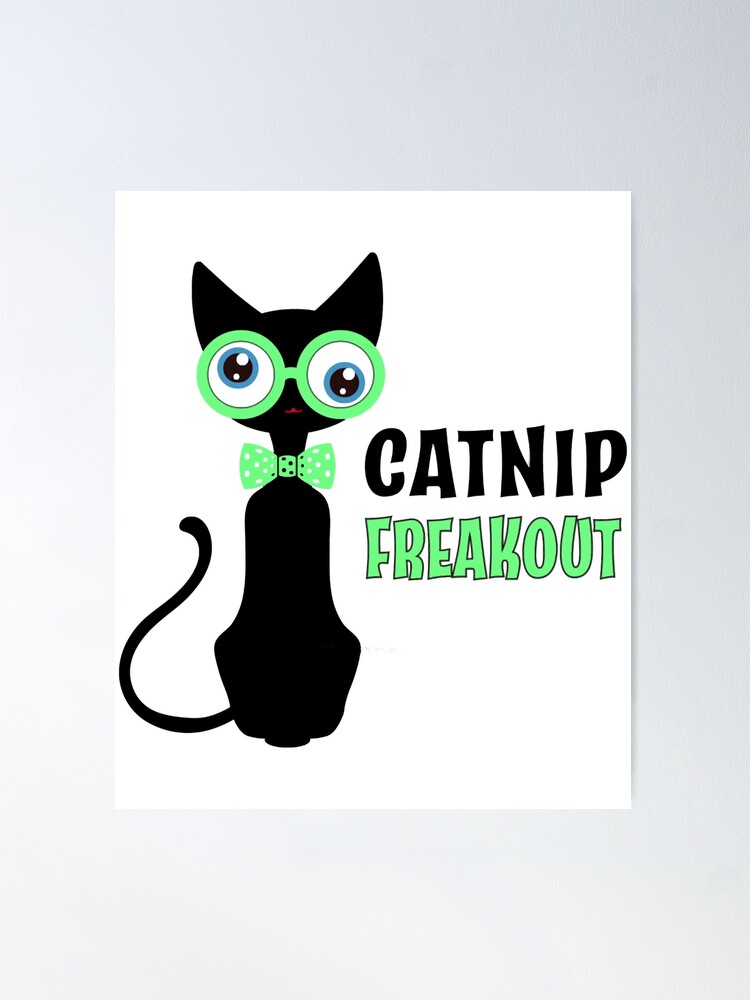 Catnip freakout shop