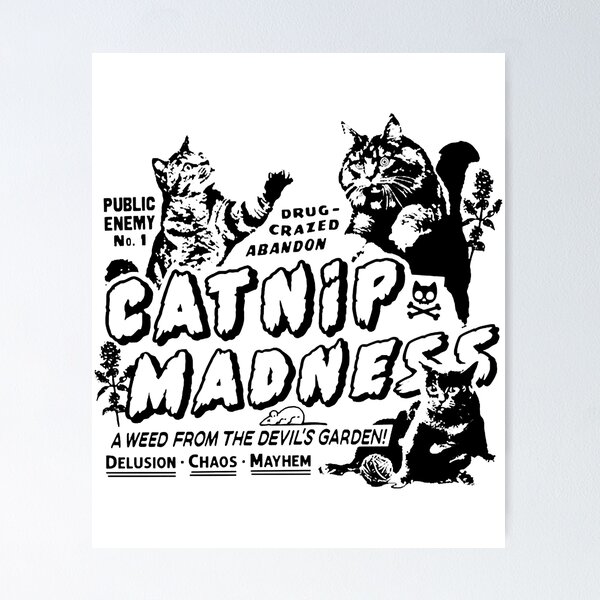 Item preview, Catnip Madness Cute Cat Premium designed and sold by WilhelminaFaulk.