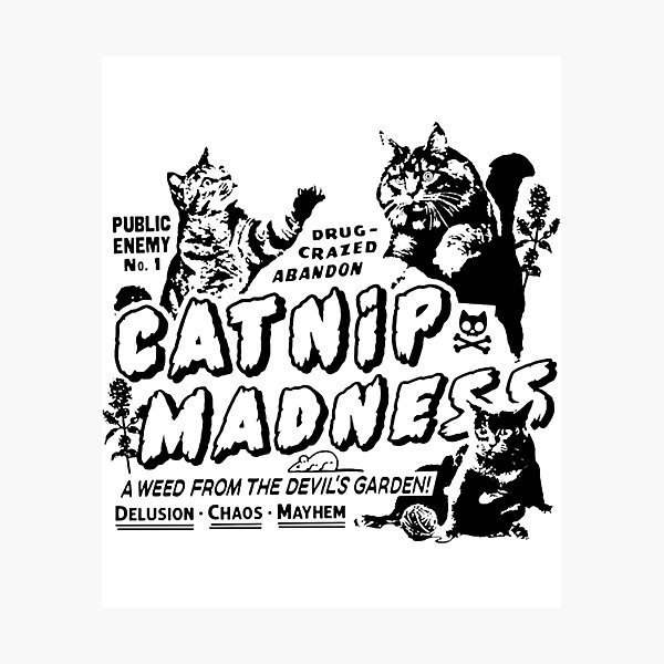 Item preview, Catnip Madness Cute Cat Premium designed and sold by WilhelminaFaulk.