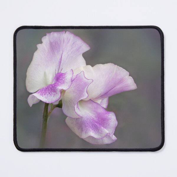 Item preview, Portrait of a Sweet Pea Flower designed and sold by AnitaLynne.
