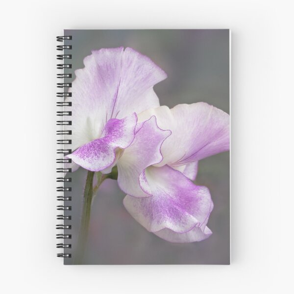 Item preview, Portrait of a Sweet Pea Flower designed and sold by AnitaLynne.