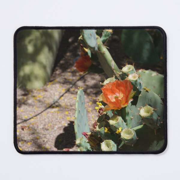 Item preview, Red Desert Bloom designed and sold by Bloom-N-Blossom.
