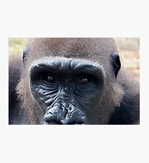Benito Photographic Print