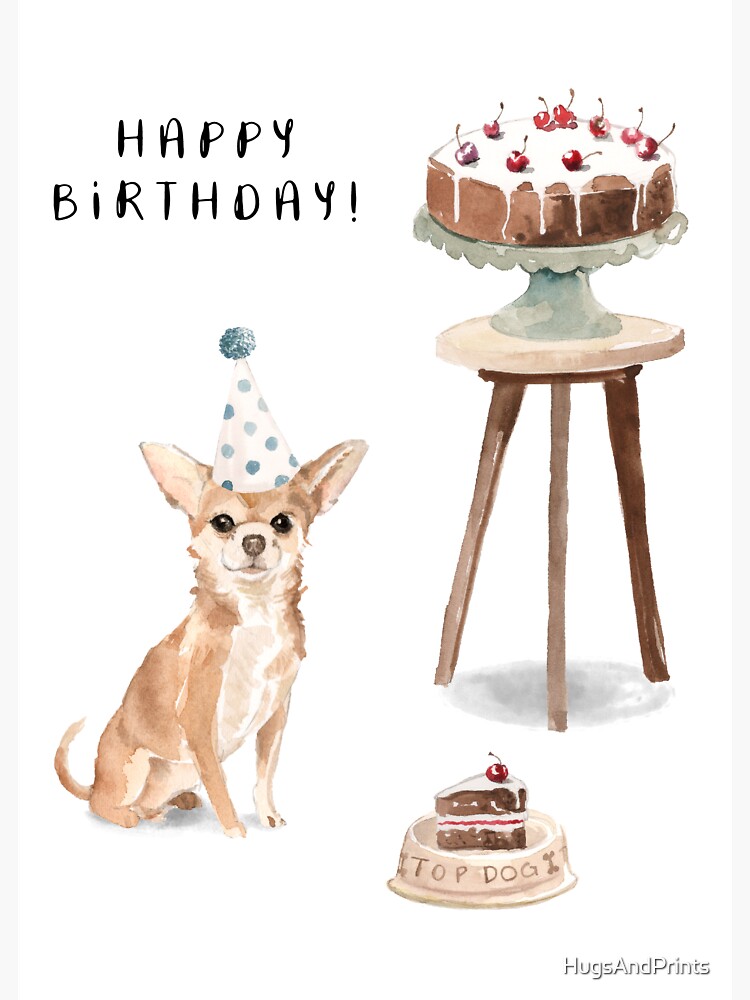 Chihuahua cake 2024