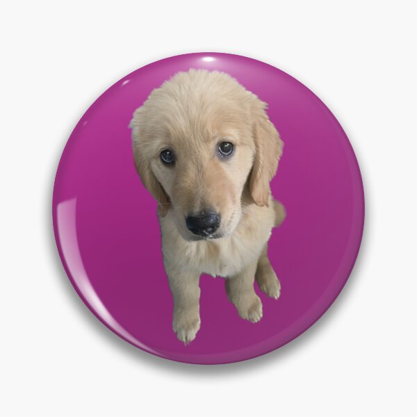 Artikelvorschau, Golden Retriever Welpenmädchen entworfen und verkauft von Colorcollage.
