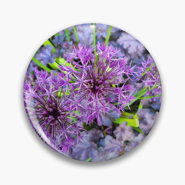 Item preview, Purple Allium flowers designed and sold by Fionatravels.