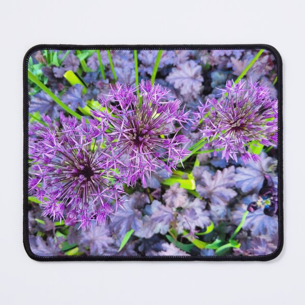 Item preview, Purple Allium flowers designed and sold by Fionatravels.