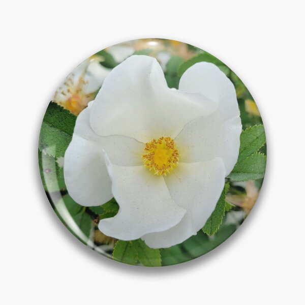 Item preview, Beautiful white summer flowers designed and sold by Fionatravels.
