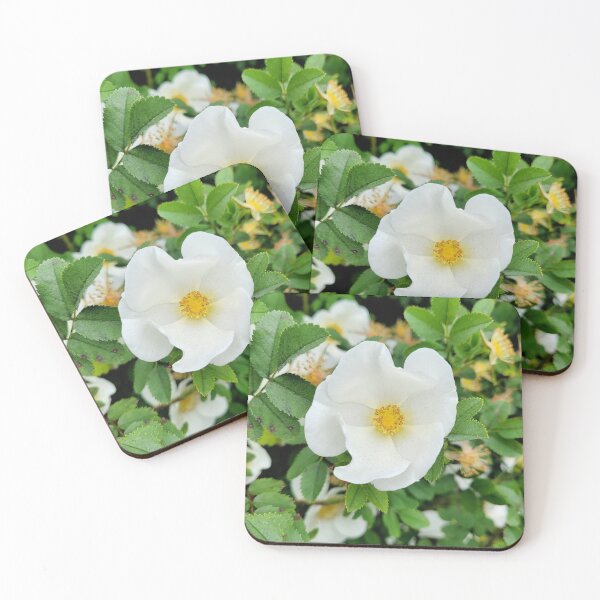 Item preview, Beautiful white summer flowers designed and sold by Fionatravels.