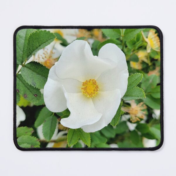 Item preview, Beautiful white summer flowers designed and sold by Fionatravels.