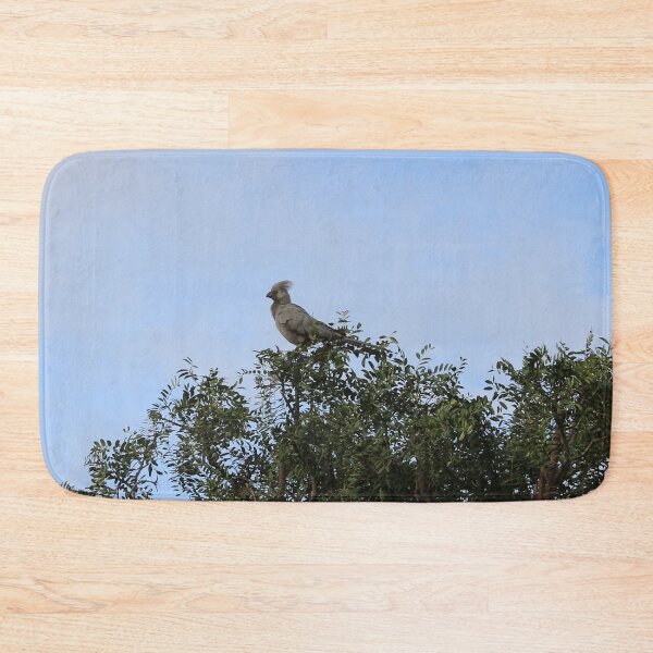 Item preview, Grey Go-away Bird designed and sold by FeralMinds.