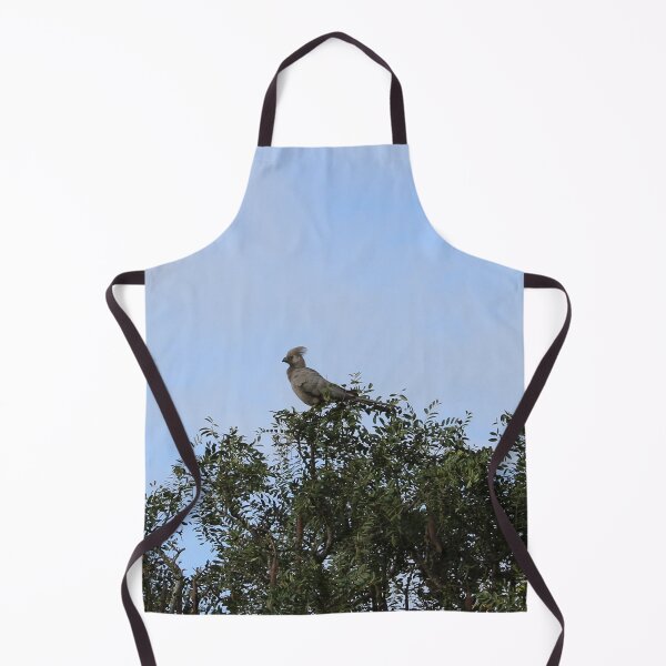 Item preview, Grey Go-away Bird designed and sold by FeralMinds.