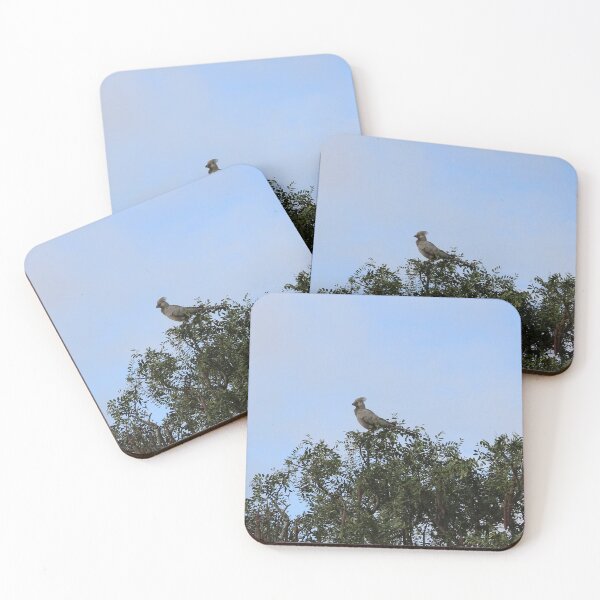 Item preview, Grey Go-away Bird designed and sold by FeralMinds.