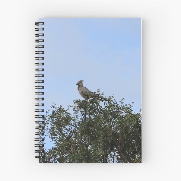Item preview, Grey Go-away Bird designed and sold by FeralMinds.