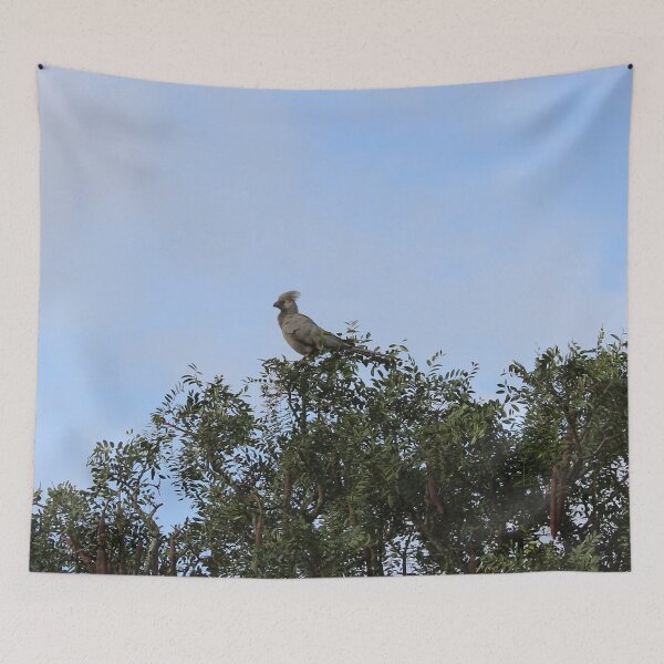 Item preview, Grey Go-away Bird designed and sold by FeralMinds.