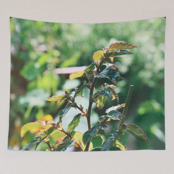 Item preview, garden plants .  designed and sold by diana rogagels.