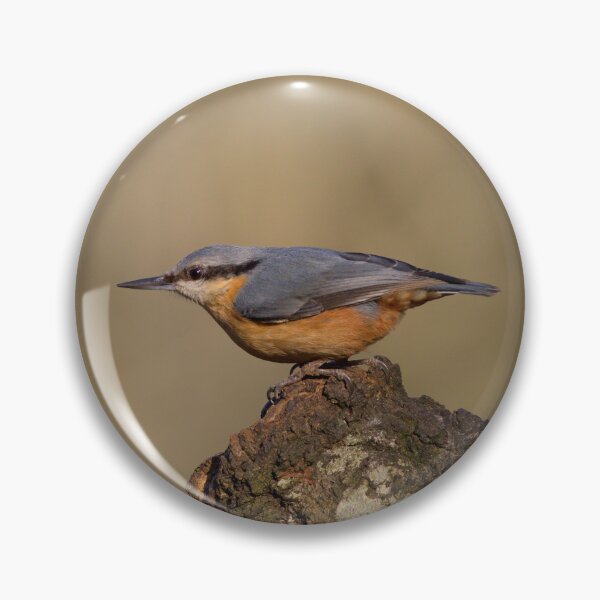 Item preview, Nuthatch designed and sold by akf-photography.