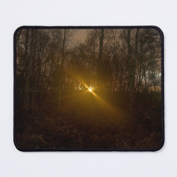 Item preview, Sun Beaming Through Fern Forest designed and sold by FeralMinds.