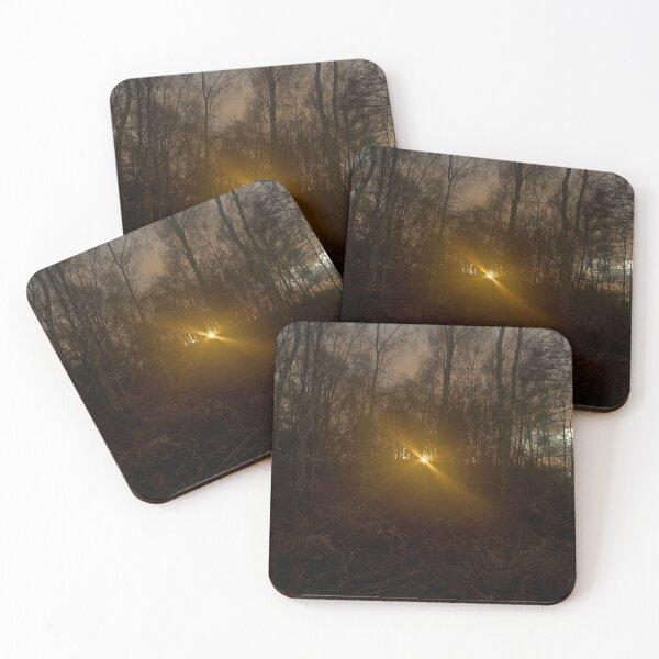 Item preview, Sun Beaming Through Fern Forest designed and sold by FeralMinds.