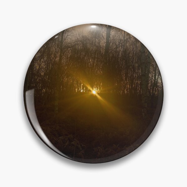 Item preview, Sun Beaming Through Fern Forest designed and sold by FeralMinds.