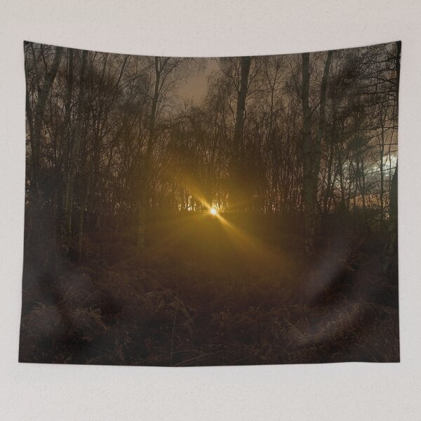 Item preview, Sun Beaming Through Fern Forest designed and sold by FeralMinds.