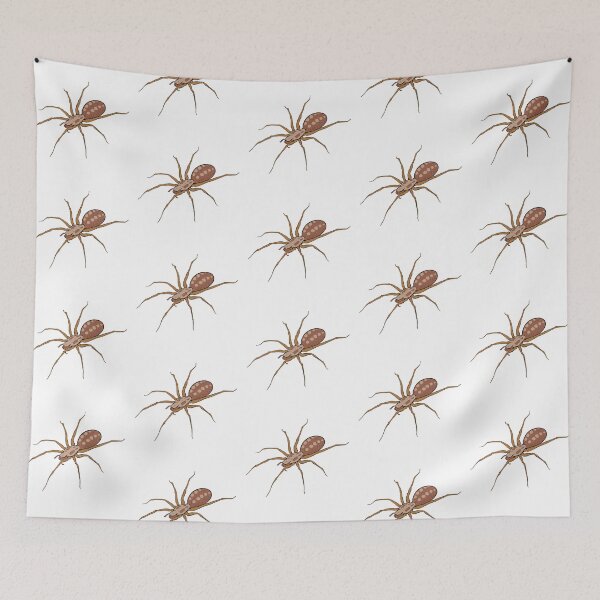 Item preview, Creepy Jumping Spider designed and sold by CreativeDraws42.